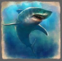 Dessin de requin blanc - illustration numérique (Krita)