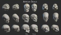 African skulls - Male / Female